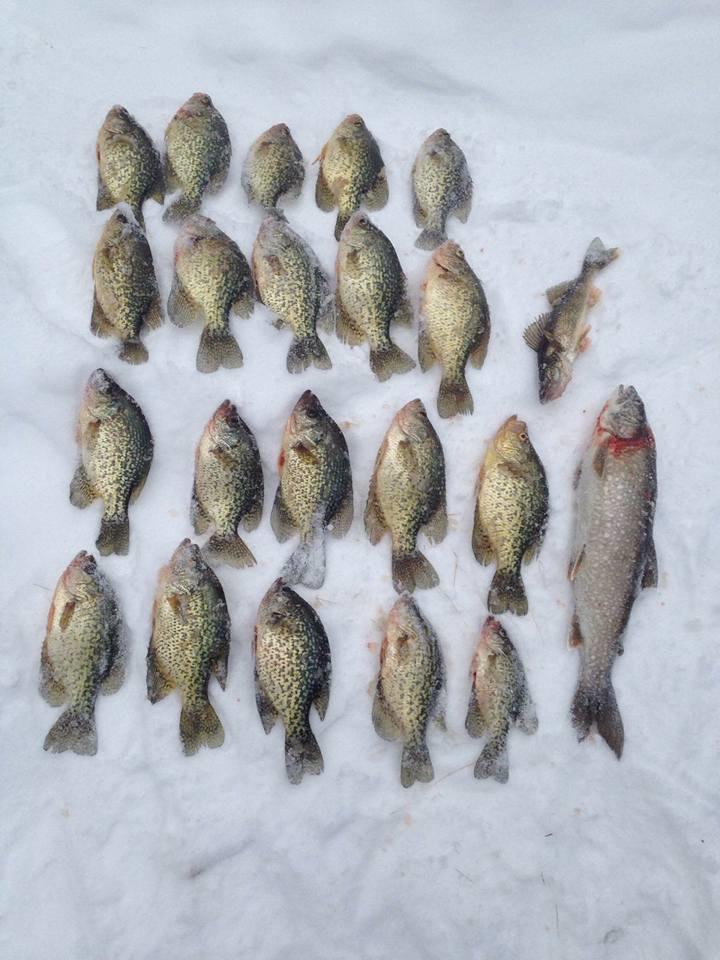 Lotw Crappie Fishing - Lake of the Woods Fishing Reports - Hunting