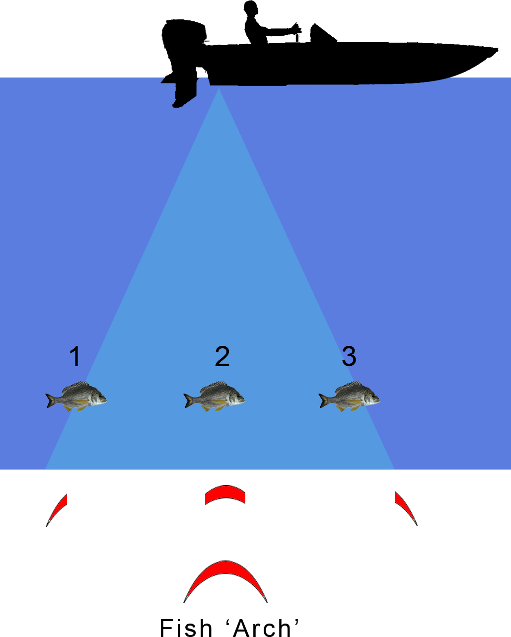 How to identify fish in fishfinder Sonar image? - Equipment-Expert