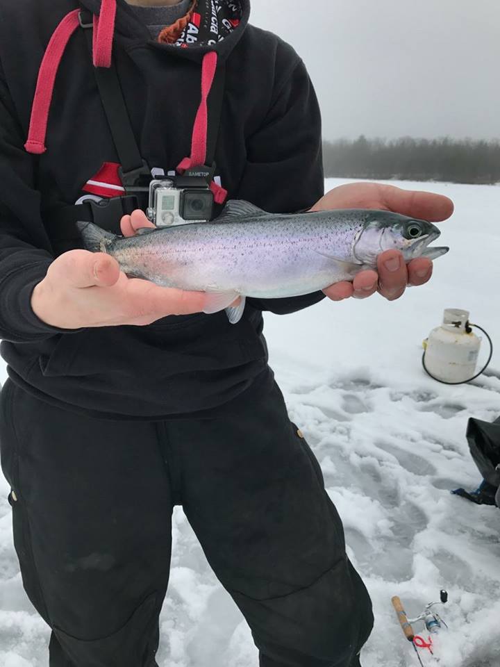 14+ Myladelrey Ice Fishing