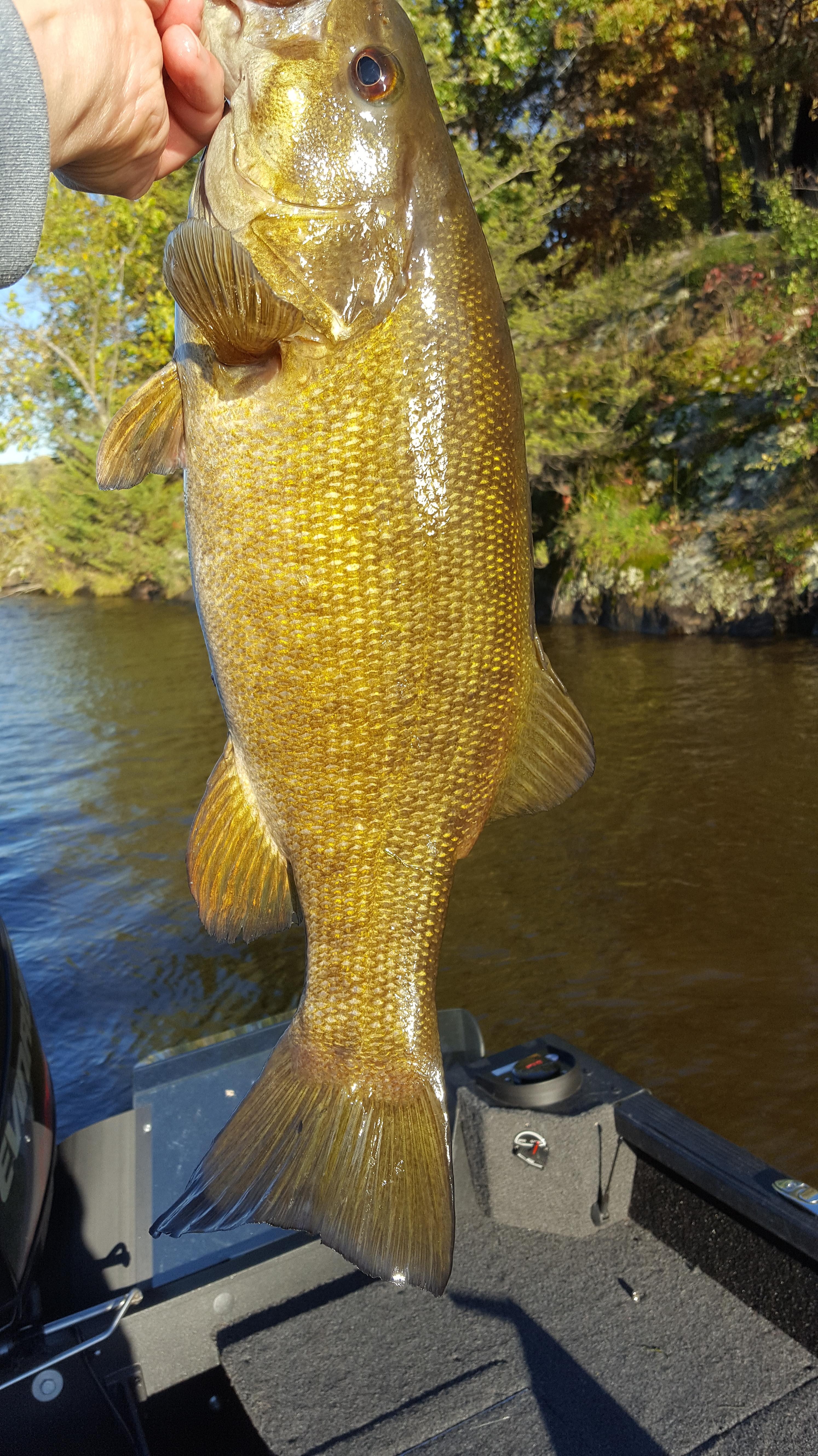 Adapting A Canoe For Smallmouth River Fishing - Smallmouth Bass Fishing -  Bass Fishing Forums