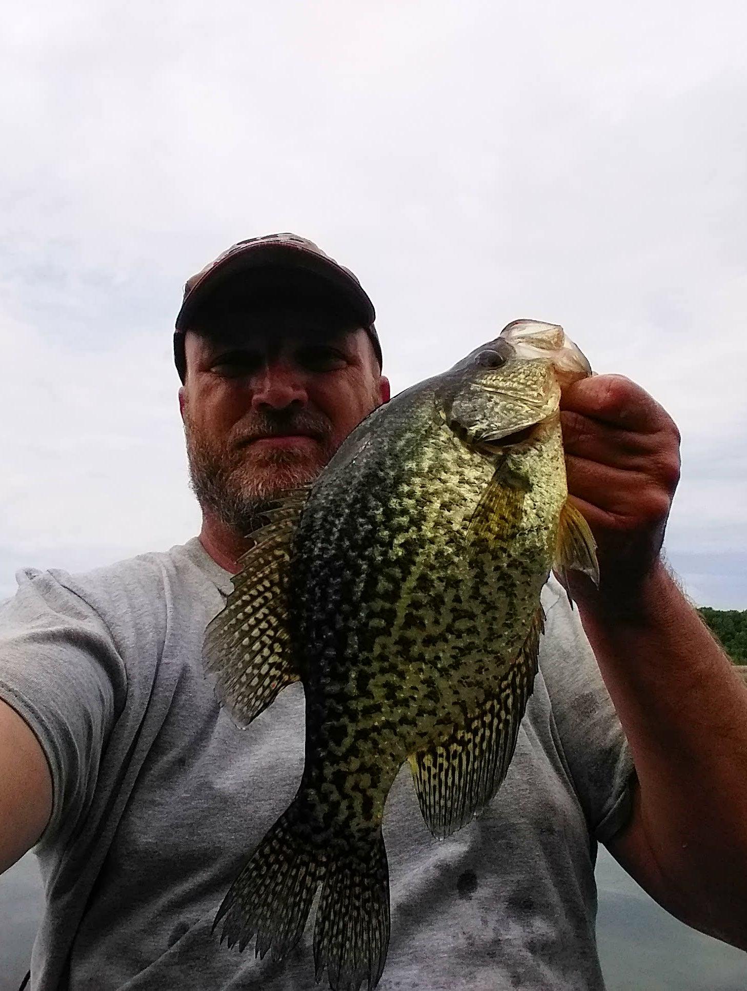 Best spring crappie baits - Crappies-Sunfish - Outdoor Minnesota Fishing  Reports - Hunting Forum - Ice Fishing