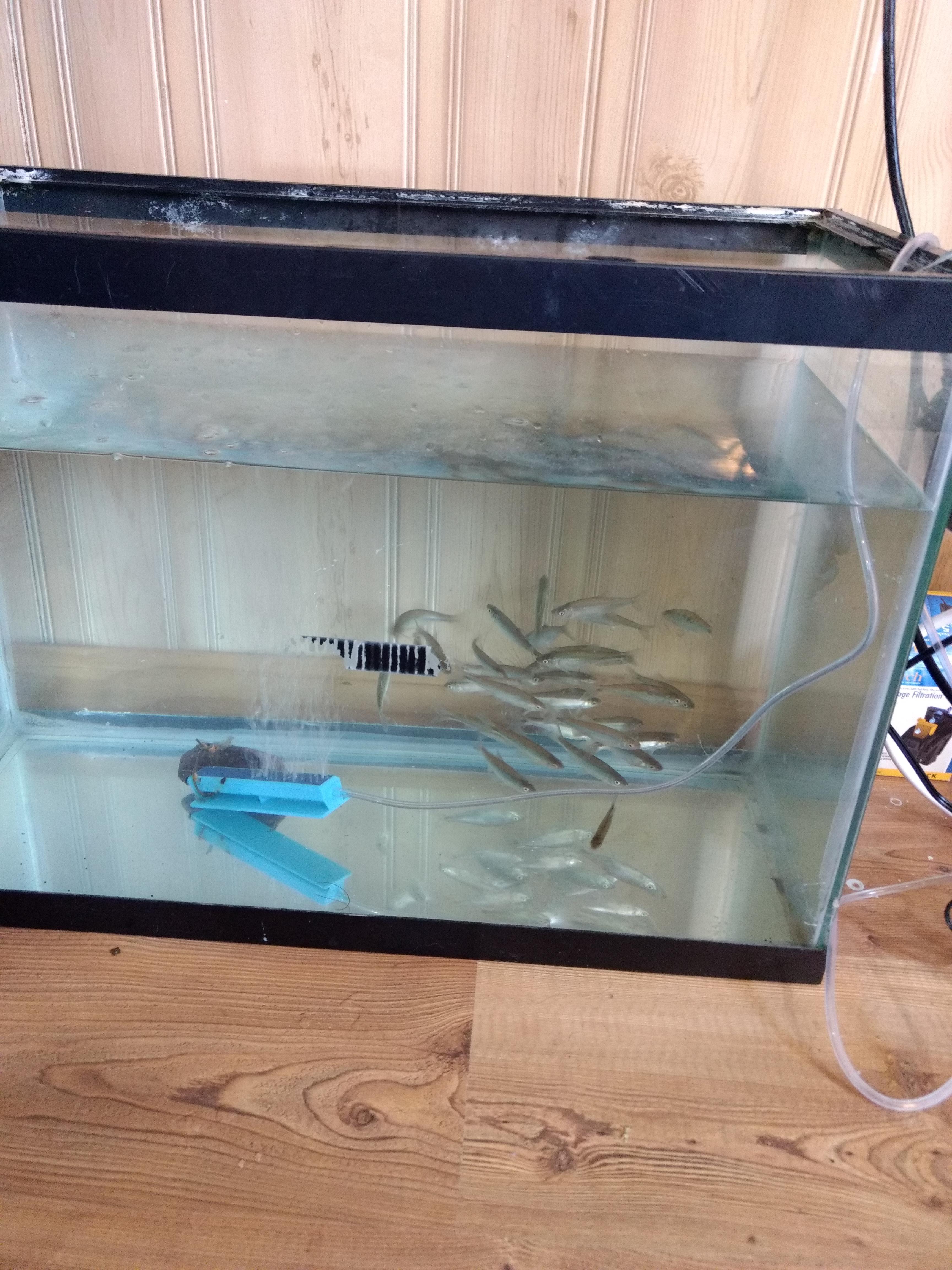 Turn a JKRate into an awesome Bait tank
