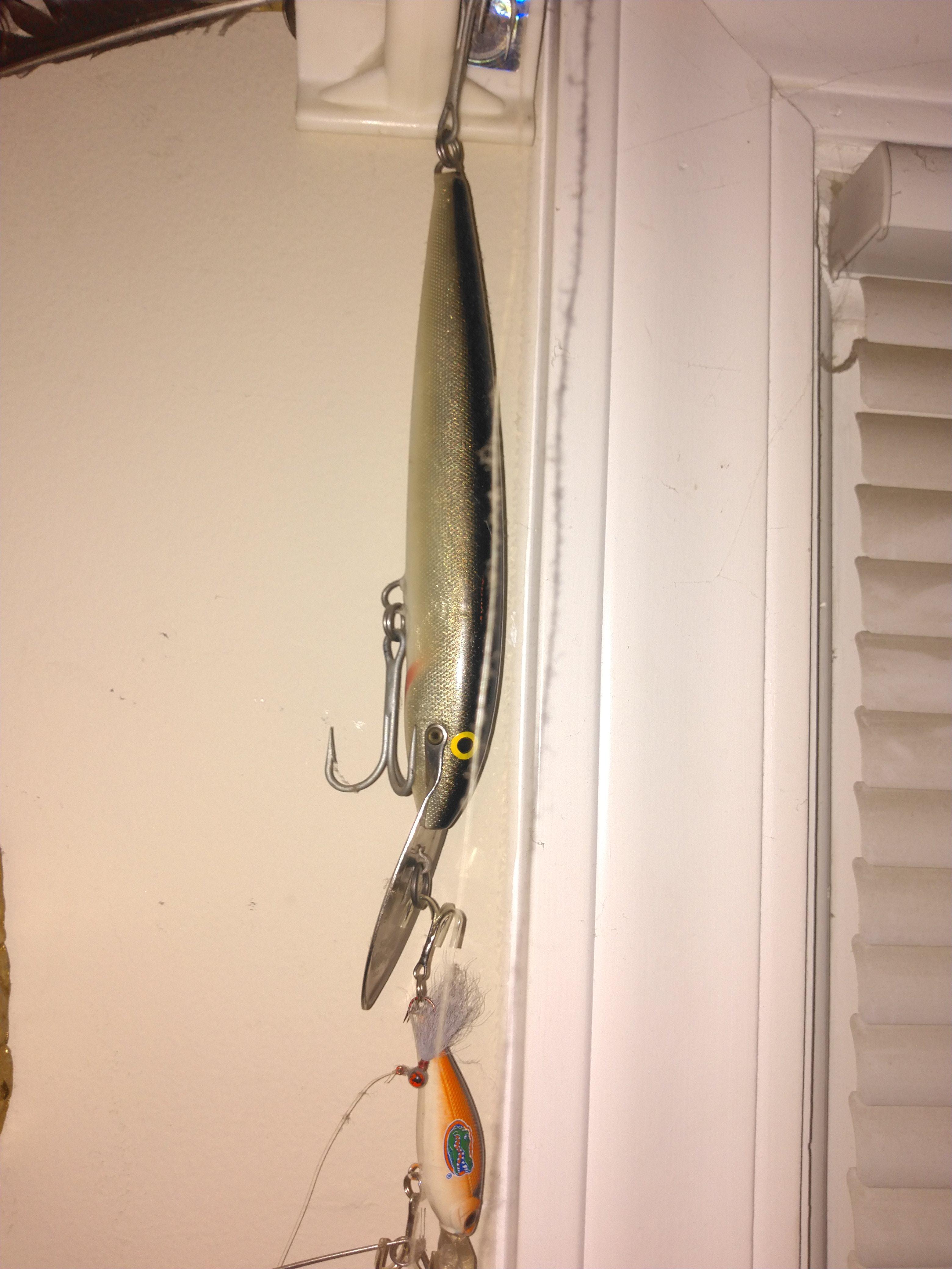 where to find a rapala cd-18 sinking Magnum - Fishing Minnesota - (Spring,  Summer & Fall) - Outdoor Minnesota Fishing Reports - Hunting Forum - Ice  Fishing