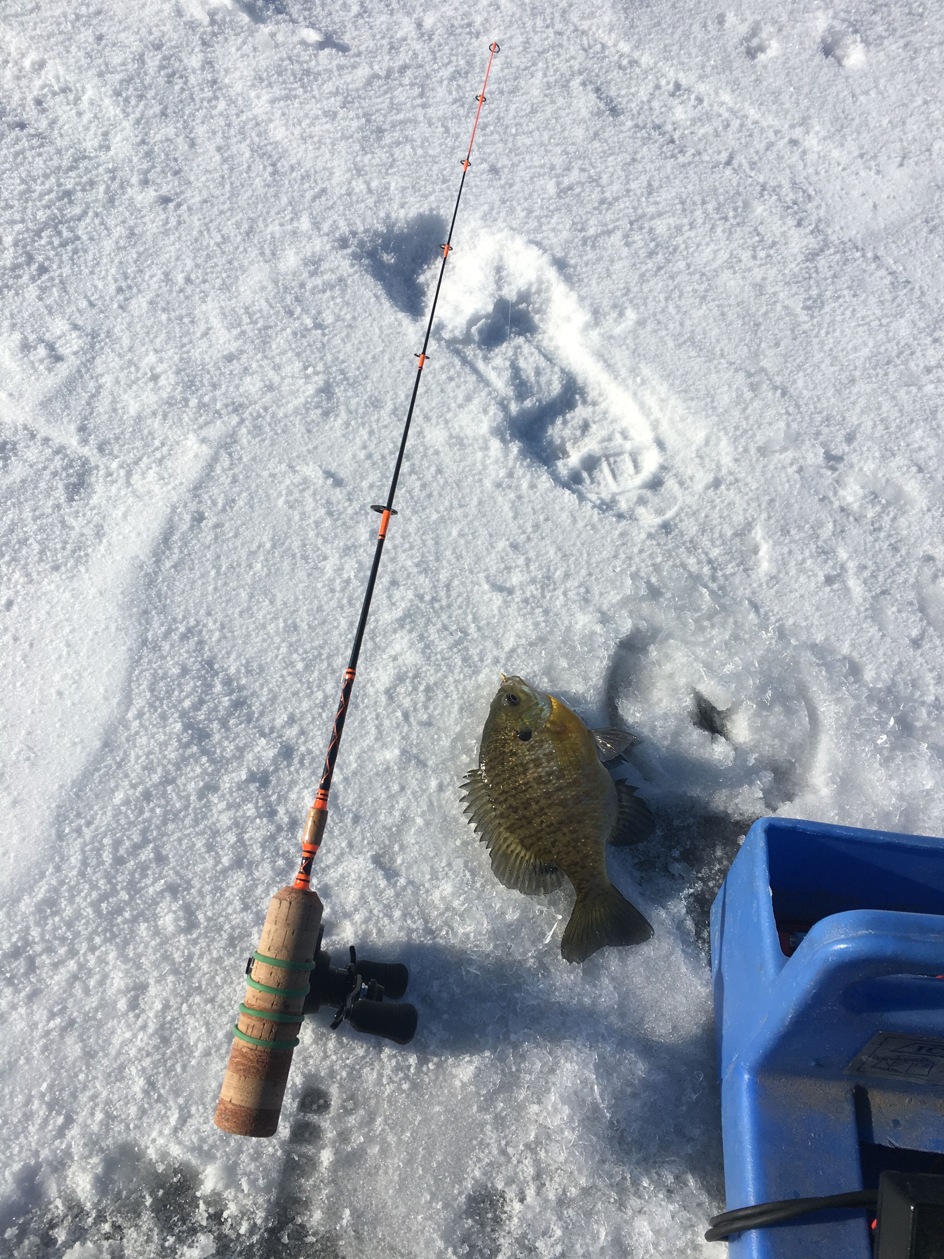 Frabill I-5 Ice Fishing Suit  Fishing Reports and Forum