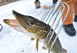 Custom Brainerd spear? - Bowfishing/Spearing - MN - Outdoor Minnesota  Fishing Reports - Hunting Forum - Ice Fishing