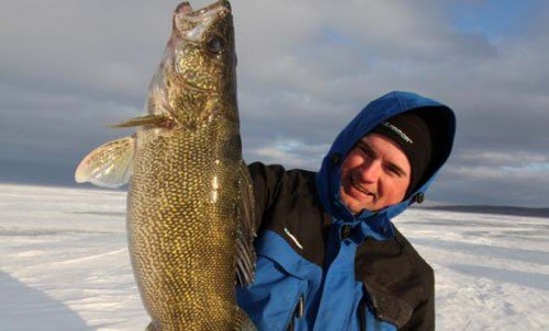ice fishing walleyes cold front
