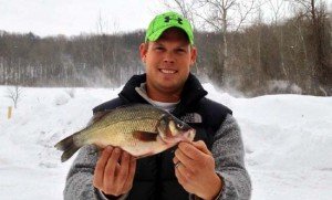 Michigan State Record White Perch