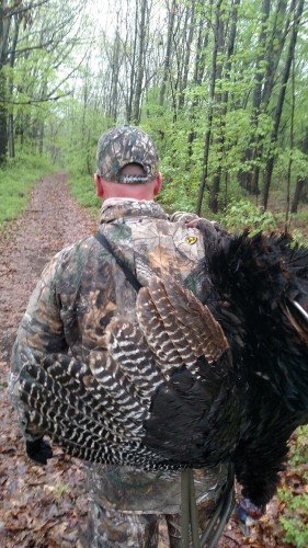 herbery turkey hunting